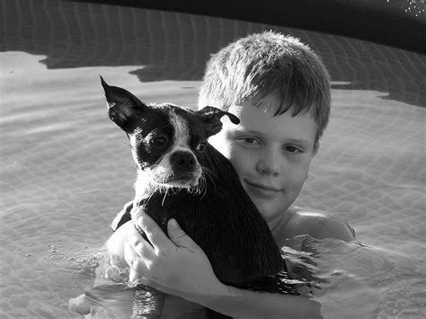 A Boy & His Dog Free Photo Download | FreeImages