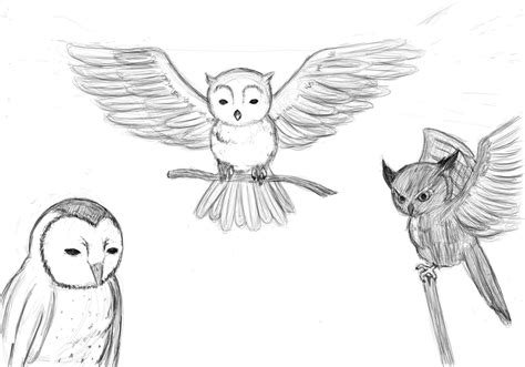 The Artwork of Versace: Owl Sketches