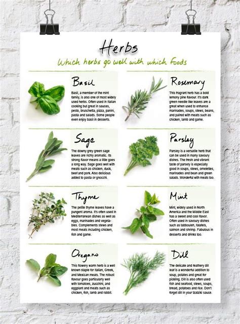 Handy Printable Herb Chart | Cooking herbs, Homemade cookbook, Recipe binders