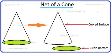 Cone Net