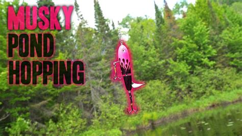 3 Musky Lakes in One Day - Northern Wisconsin Musky Fishing!! - YouTube