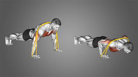 Resistance Band Push-Ups: Benefits, Muscles Worked, and More - Inspire US