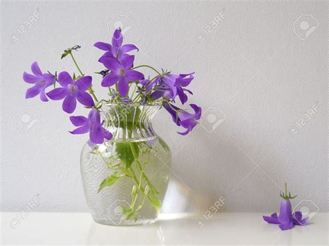Bouquet of bluebells flowers in a glass vase Stock Photo - 35067076 | Blue bell flowers, Photo ...