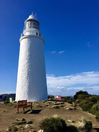 Cape Bruny Lighthouse (Bruny Island): Top Tips & Facts Before You Go ...