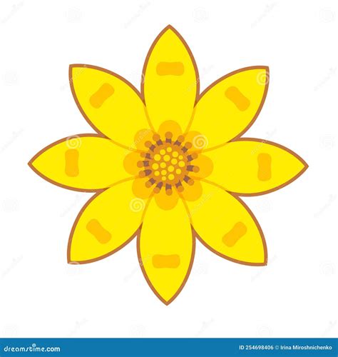 Adey Abeba Ethiopian Flower Vector Illustration | CartoonDealer.com #254698406