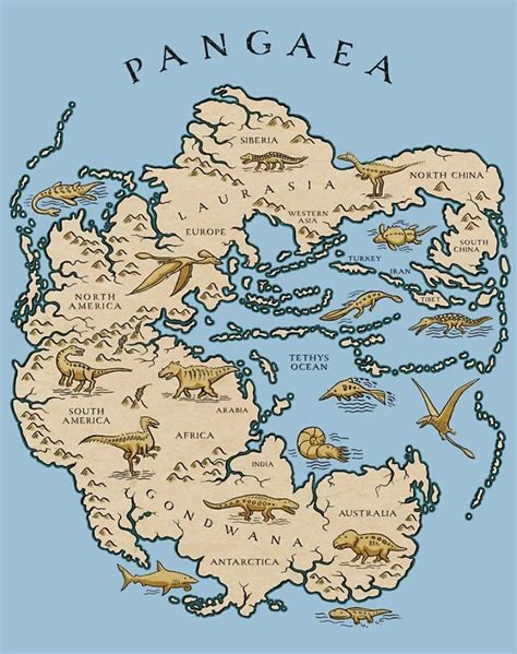How the actual continents and previous living beings were arranged during Pangea. in 2020 ...