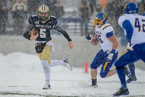 Gallery: Montana State vs. South Dakota State | Sports ...