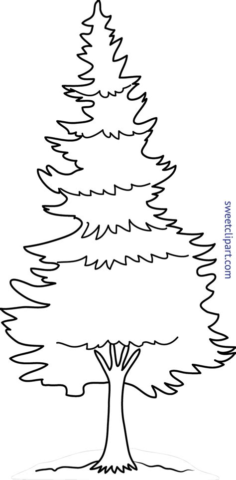 Tree Coloring Page, Animal Coloring Pages, Colouring Pages, Cartoon Baby Animals, White Pine ...