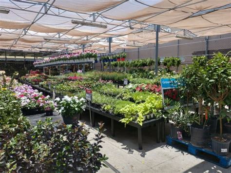 WALMART GARDEN CENTER - 201 Walton Way, Cedar Park, Texas - Nurseries & Gardening - Phone Number ...