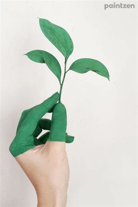 Eco-Friendly Painting Tips for a More Sustainable Home - Paintzen