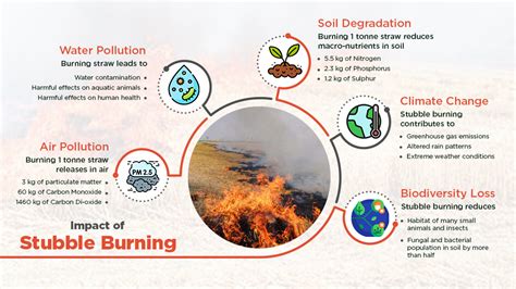 Stubble Burning - What is it and Effects of It