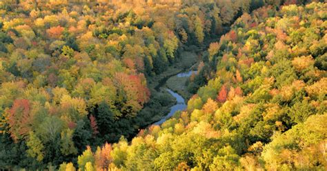 The Best Time to See Fall Colors in Upper Michigan | North of Bleu