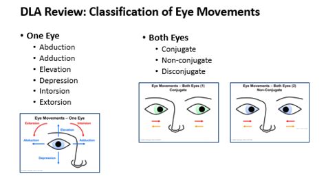 Eye Movements Flashcards | Quizlet