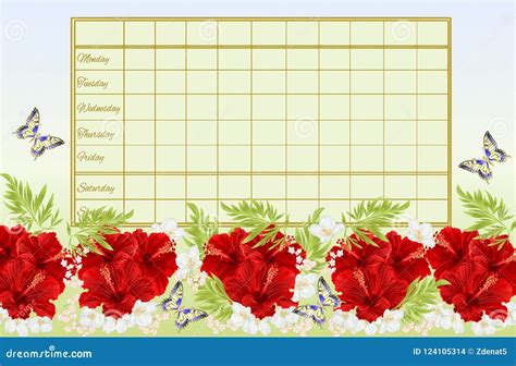 Timetable Weekly Schedule with Red Hibiscus Flowers with Jasmine and Butterfly Vintage Vector ...