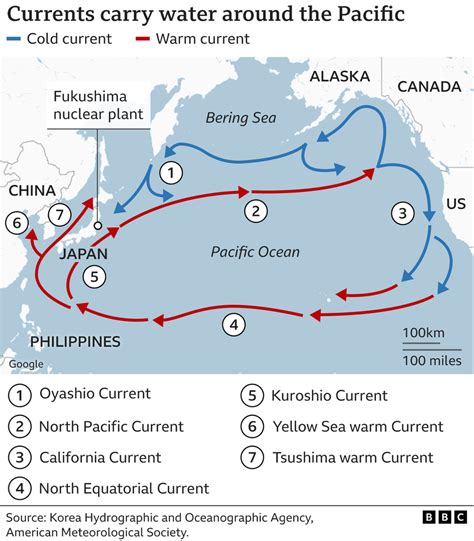 Fukushima: What are the concerns over waste water release? - BBC News