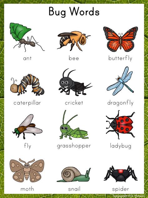 Free Printable Insects Whether You Are Doing An Insect Unit Study Or ...