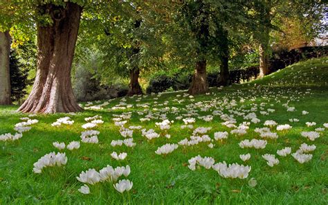 Waddesdon Manor Gardens, Buckinghamshire, England | Drifts… | Flickr