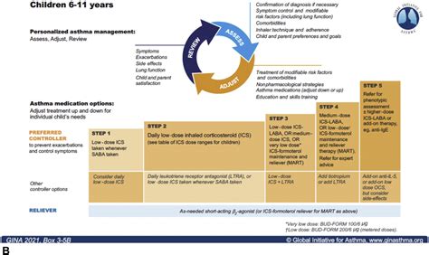 Naepp Asthma Guidelines 2024 - Cookie Merrilee