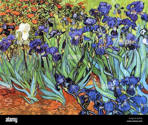 Vincent van Gogh, Irises. 1889. Post-Impressionism. Oil on canvas ...