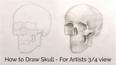 How to Draw Skull - For Artists 3/4 view - YouTube