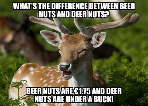 These Puns are Terribly Deer Beer Nuts, Puns, Deer, Funny Quotes ...