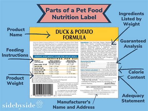 Ingredients for Dog Food - A Veterinarians's Advice | Forever Freckled