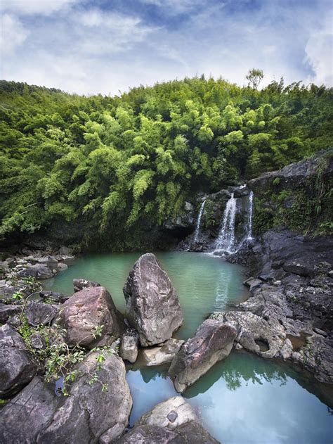 Bamboo Forest - also called the Four Falls of Na'ili'ili-Haele, Shot of ...