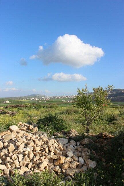 Jenin Palestine | Palestine art, Palestine history, Palestine