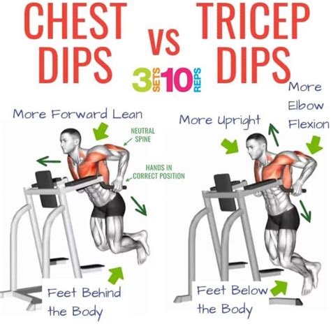 How to Do Tricep Dips & Chest Dips, Tips, Benefits | Weighteasyloss.com