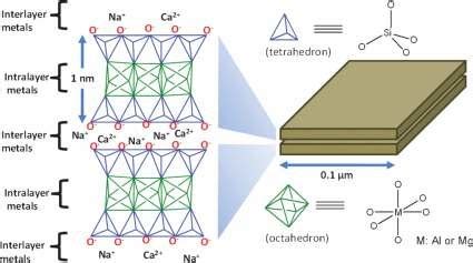 Representation of layer-by-layer structures of clay microstructures. | Download Scientific Diagram