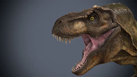 Tyrannosaurus Rex 3D model animated rigged | CGTrader