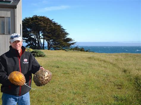 Trophy Abalone Diving at Sea Ranch and Mendonoma Area