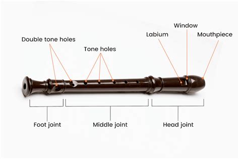 Parts Of A Flute Diagram