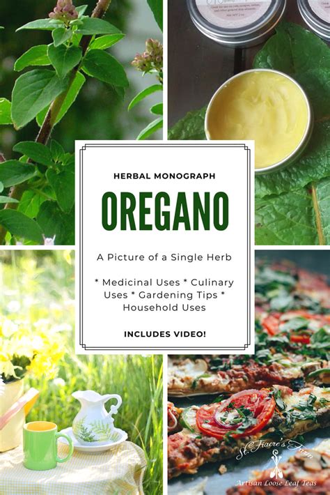 Oregano For Colds, Headaches & More