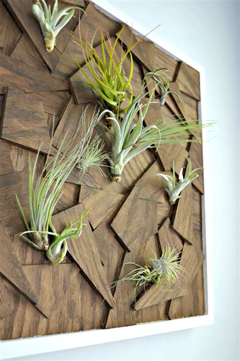 DIY Air Plant Wall Art from Scrap Wood • Ugly Duckling House