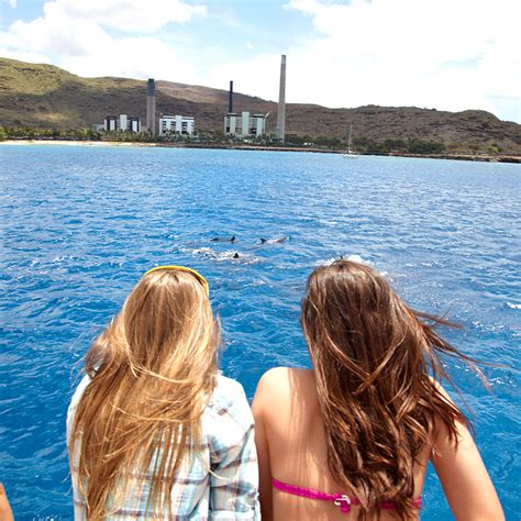 Oahu Dolphin Tours - Dolphins Guaranteed