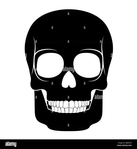 Skeleton Human skull silhouette head body bones - cranium, facial ...