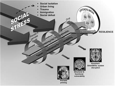 Social Stress and Psychosis Risk: Common Neurochemical Substrates ...