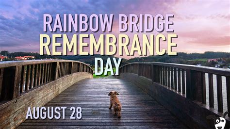 Pet Calendar: Rainbow Bridge Remembrance Day - Positively Woof