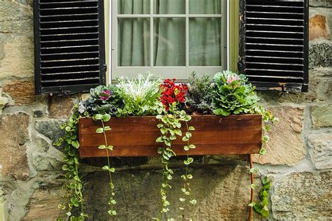 30 Gorgeous Flower Box Ideas To Welcome Summer To Your Home • Insteading