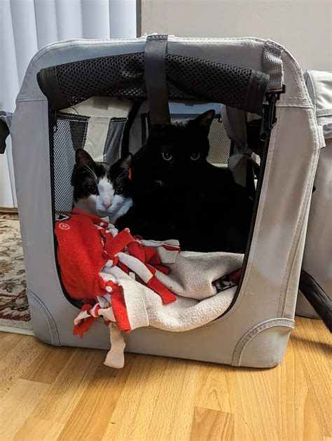 $10/mo - Finance Petseek Extra Large Cat Carrier Soft Sided Folding ...