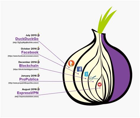 Expressvpn Dark Web - Onion Tor Dark Web , Free Transparent Clipart ...