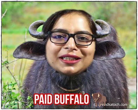 Buffalo Meme