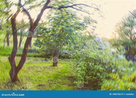 Summer Landscape in Countryside. Blurred Motion Nature Stock Image - Image of cloudy, country ...