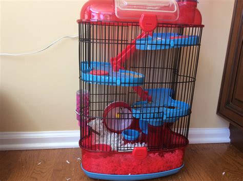 Is my hamster's cage too small? (fancy dwarf) - Pets Stack Exchange