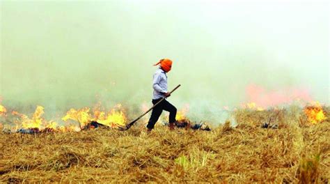 Stubble-burning responsible for 30% of Delhi's current air-pollution - The Statesman