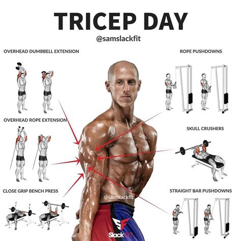 Tricep Day @Samslackfit | Workout plan gym, Weight training workouts ...