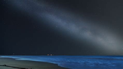 sea, beach, night, starry sky, dark, 4k HD Wallpaper