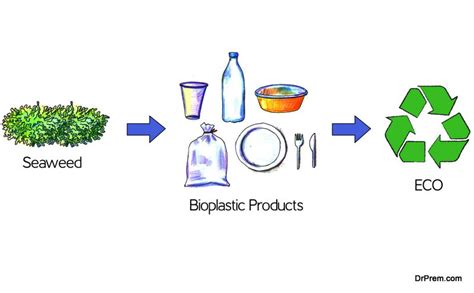 bio-renewable resources: 3 Things you Need to Know about Bioproducts