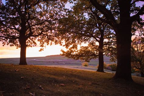 Sunset Suceava Trees Nature 5k Wallpaper,HD Nature Wallpapers,4k Wallpapers,Images,Backgrounds ...